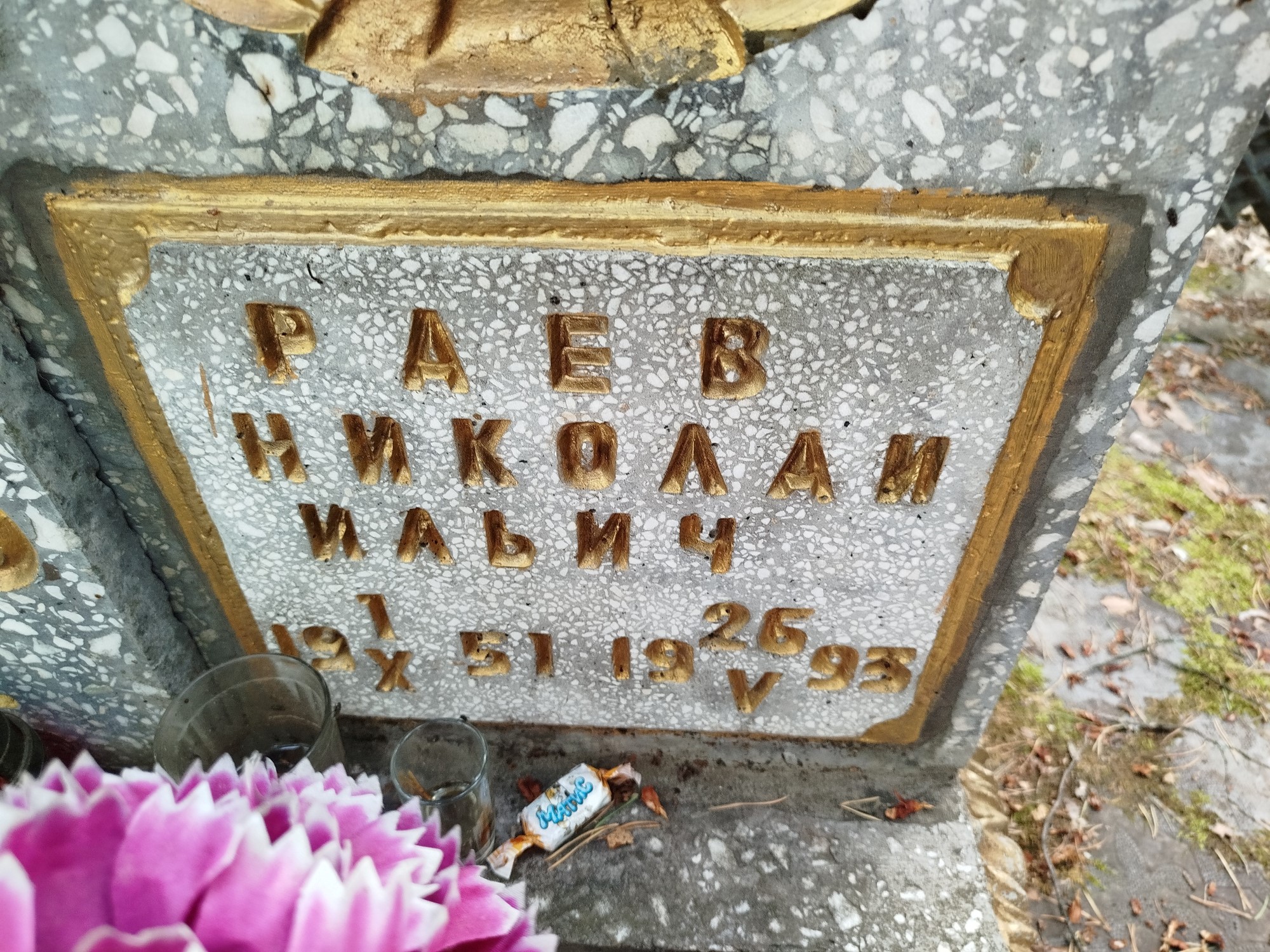Раев Николай Ильич