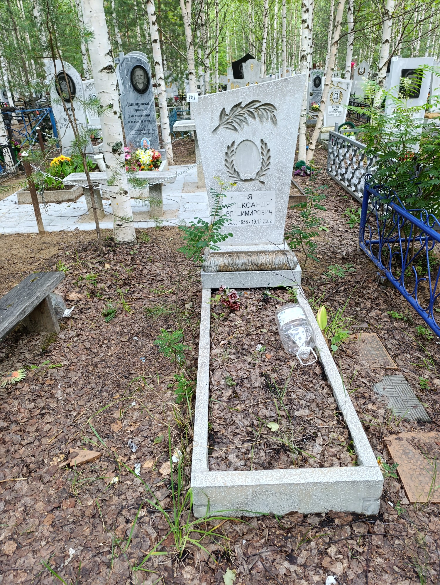 Кирьянов Александр Владимирович