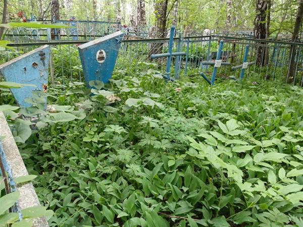 Мамонов Павед Захарович