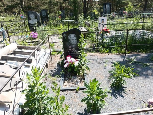 Безносов Владимир Аркадьевич