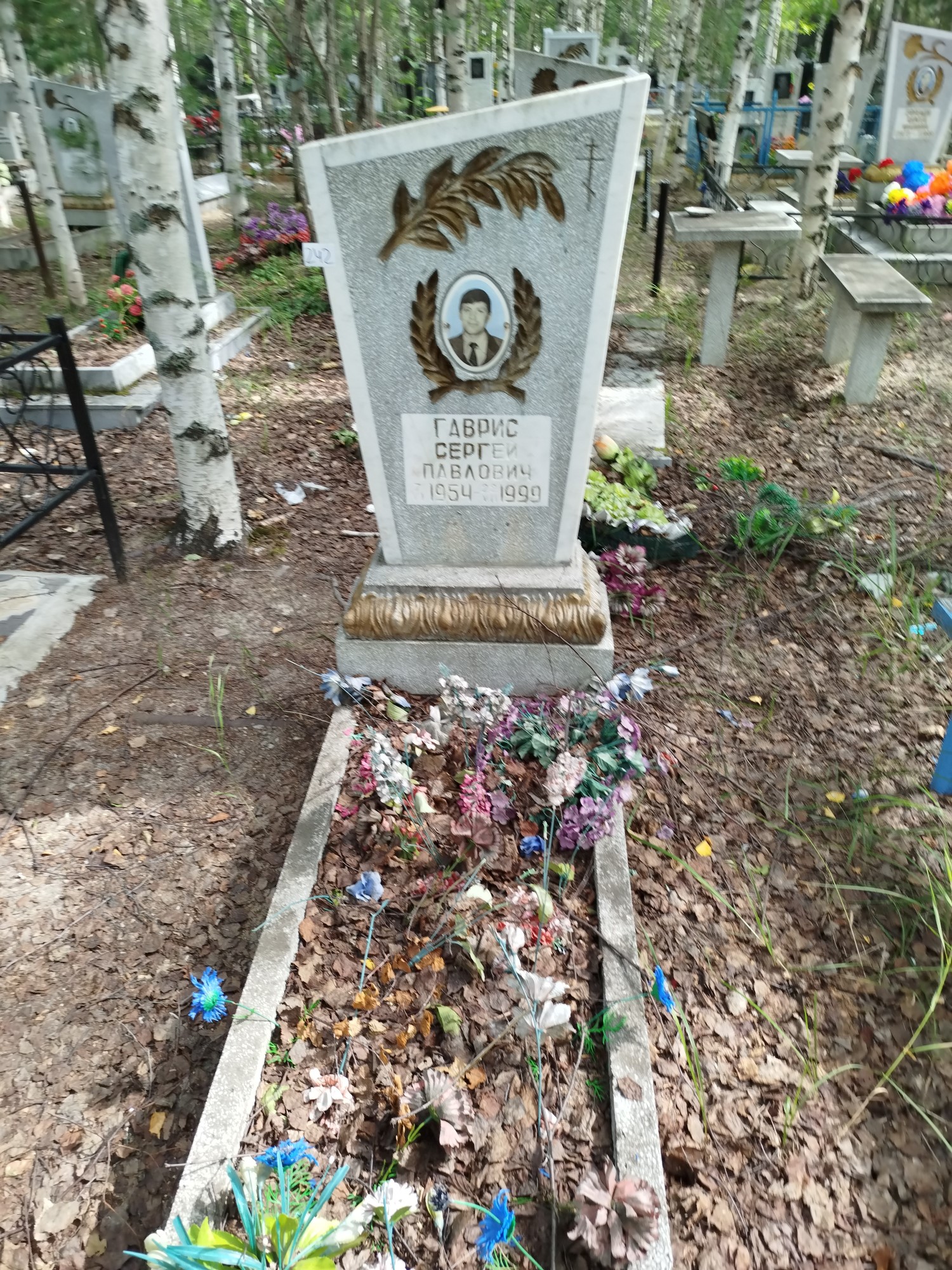 Гаврис Сергей Павлович