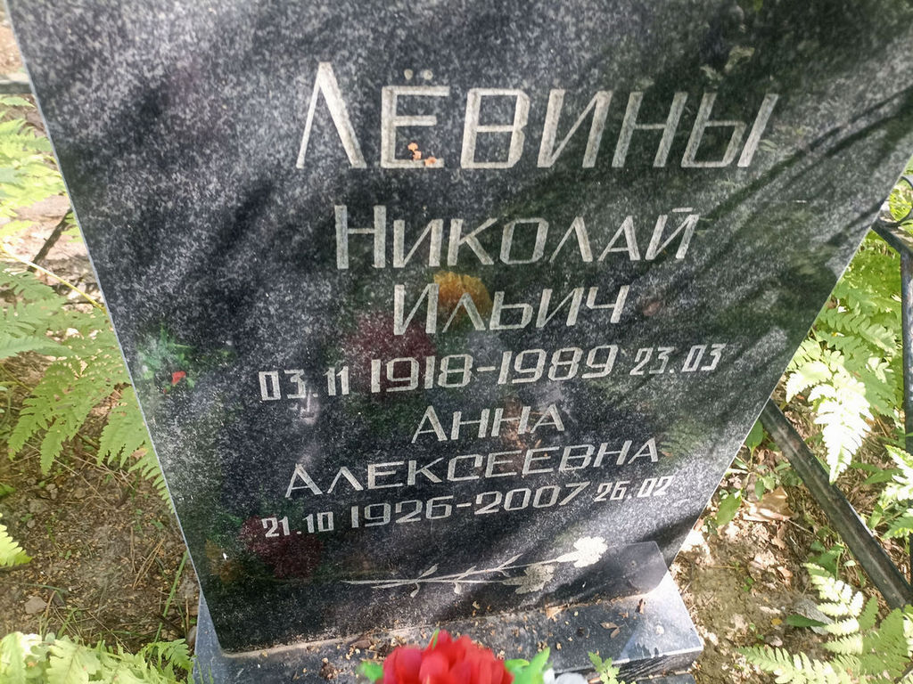 Левин Николай Ильич
