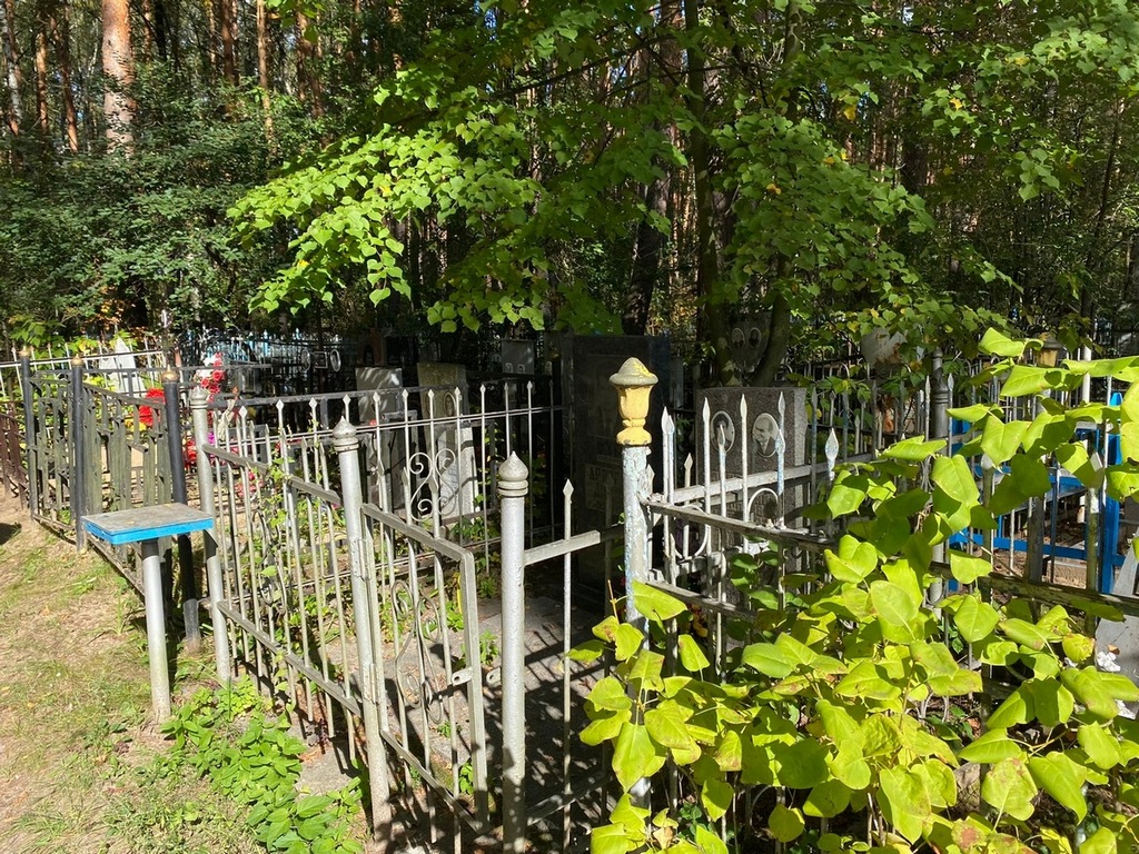 Дрязгин Владимир Николаевич
