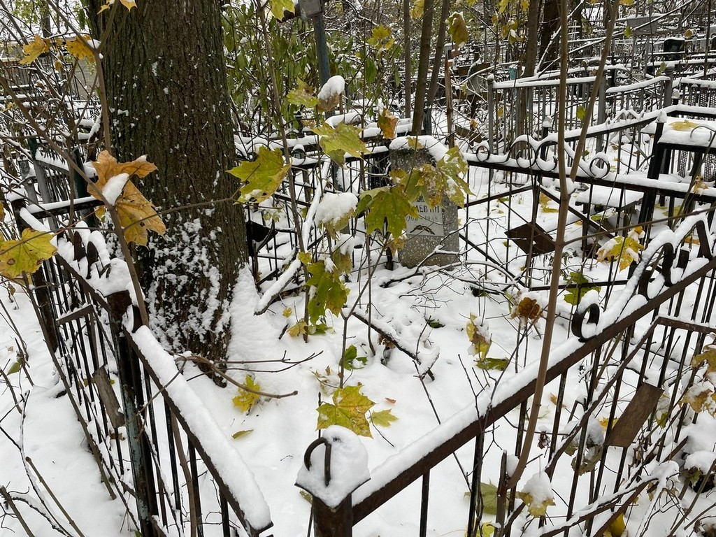 Цапаев Н Н
