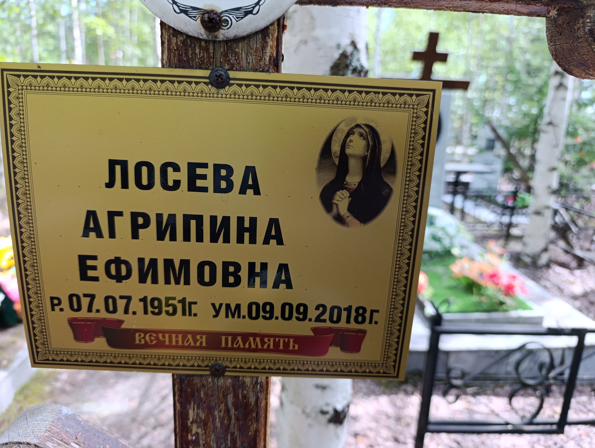 Лосева Агрипина Ефимовна