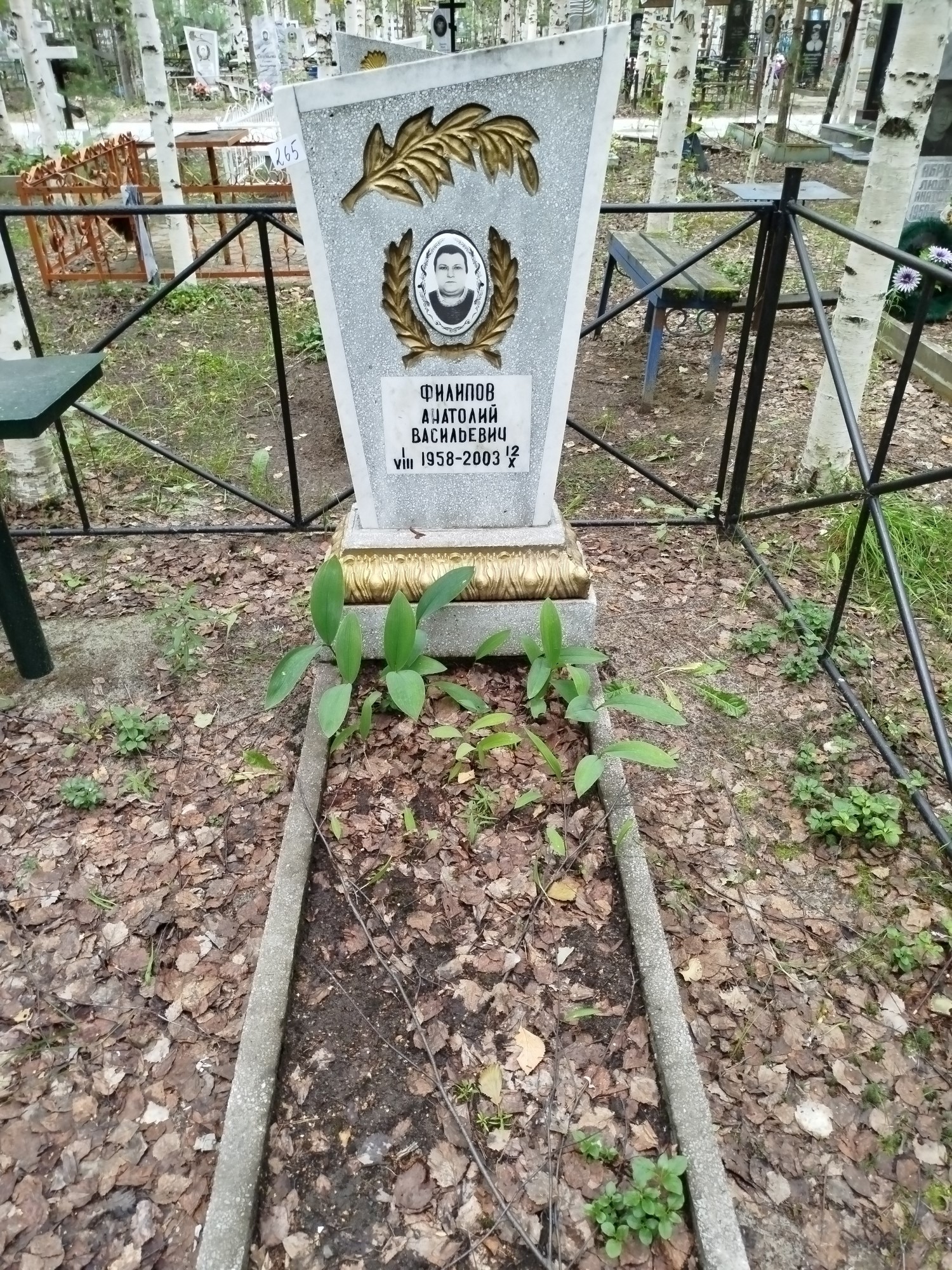 Филипов Анатолий Васильевич