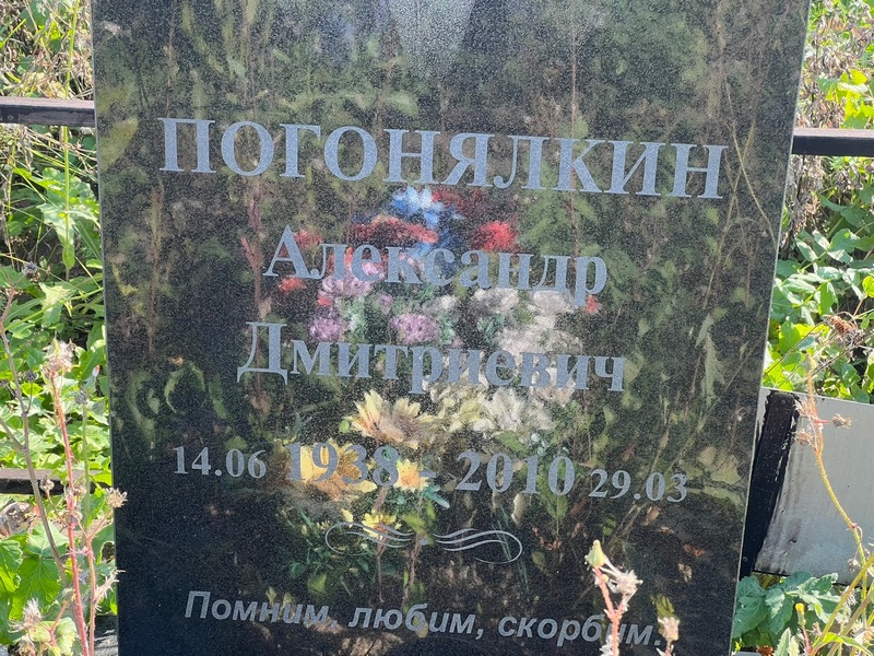 Погонялкин