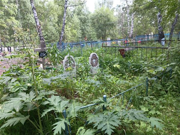 Коханов Валерий Владимирович