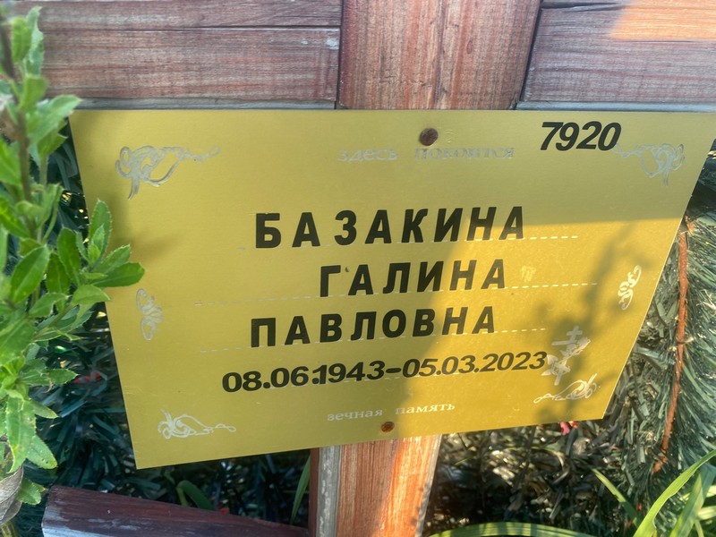 Базакина