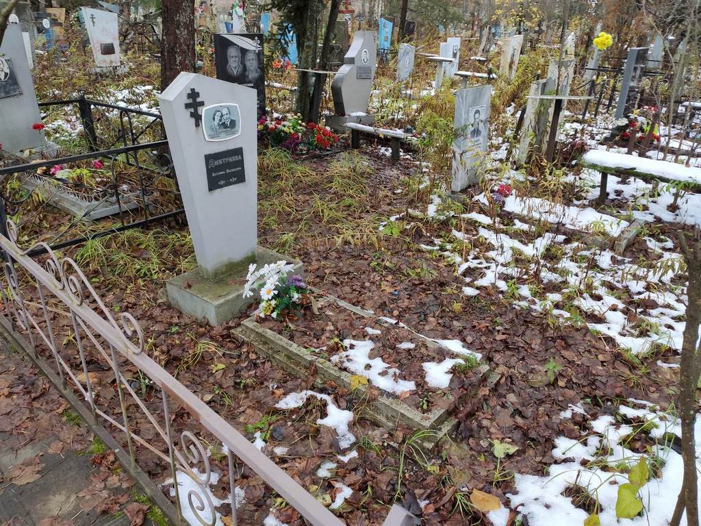 Дмитриева Антонина Васильевна