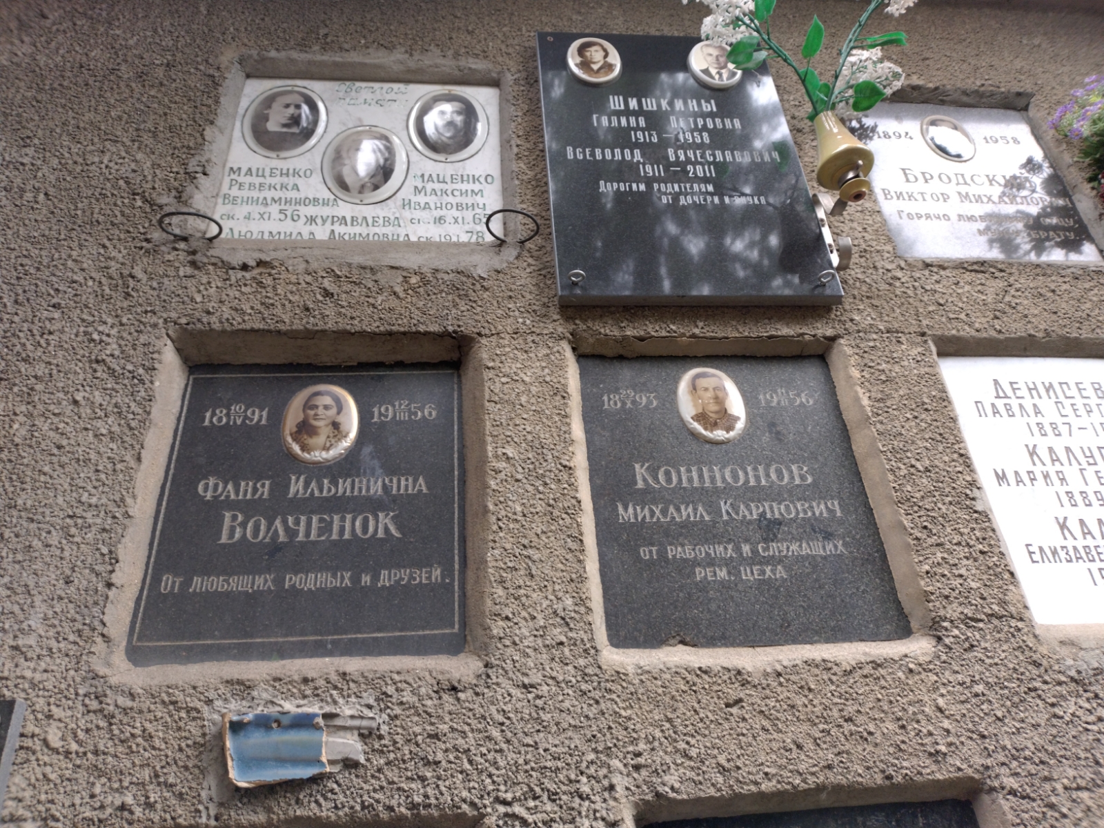 Волченок Фаня Ильинична