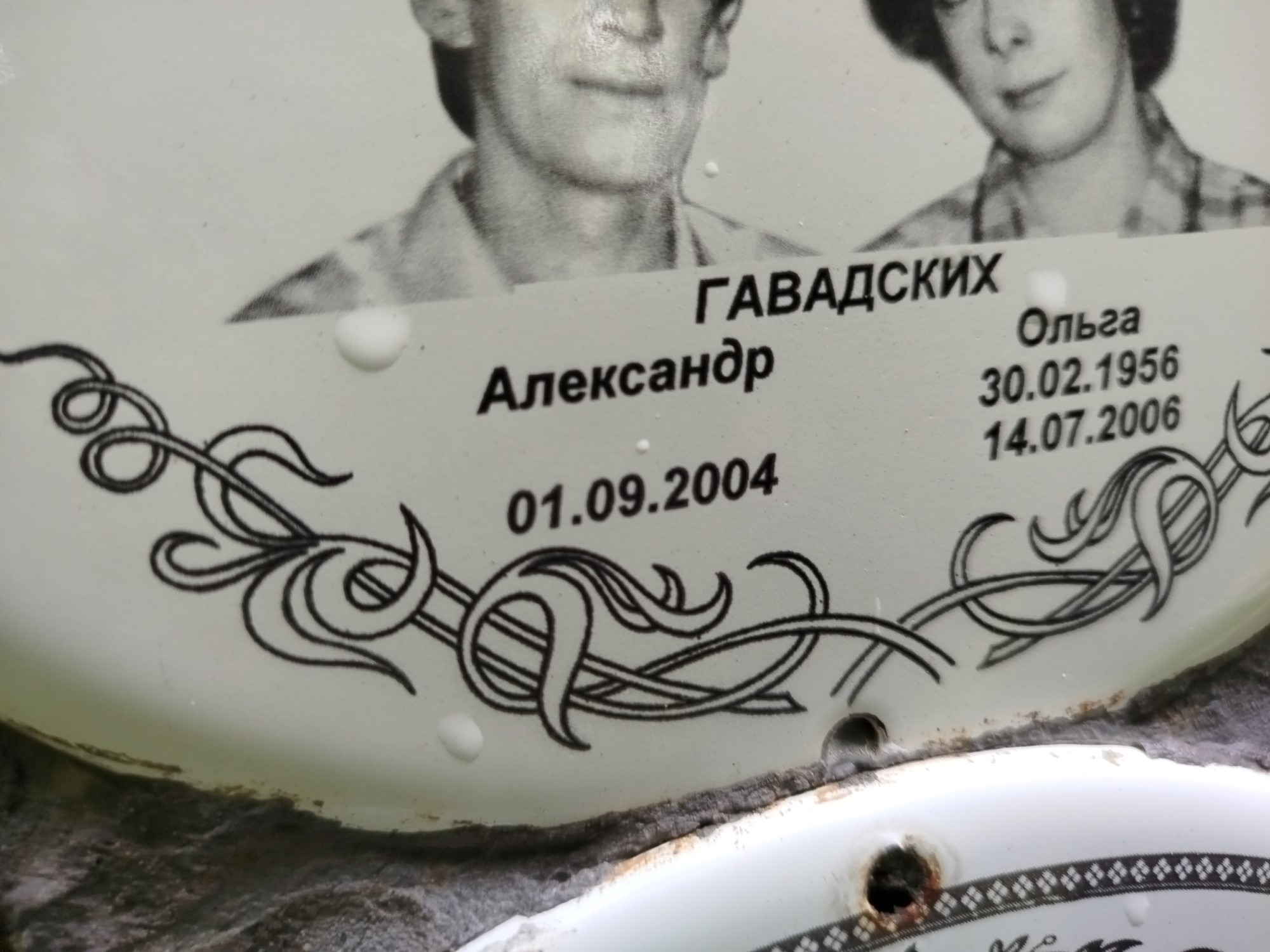 Гавадских Александр