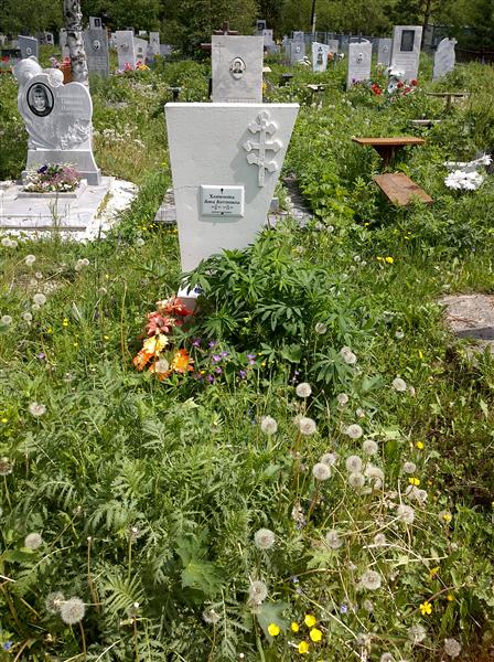 Хлопенкова Анна Антоновна