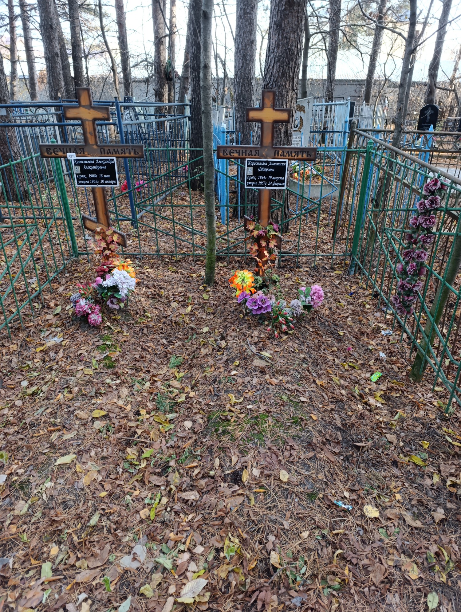 Коростелёва Александра Александровна