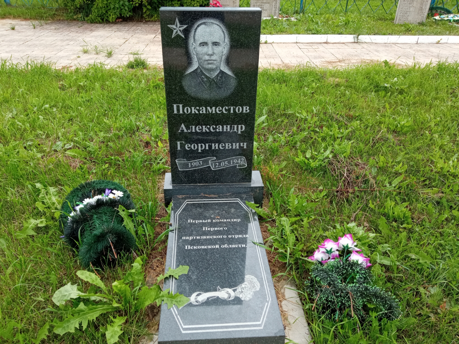 Покаместов Александр Георгиевич