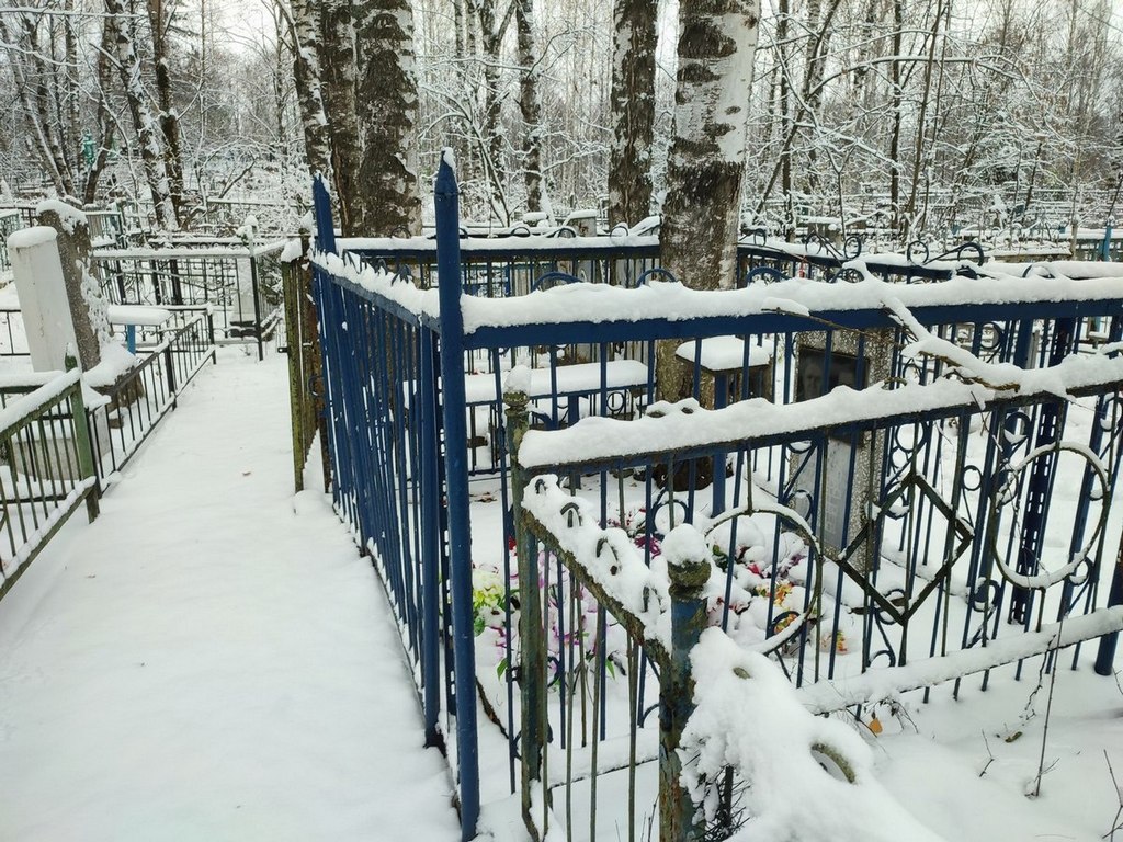 Дронова Анастасия Никитична
