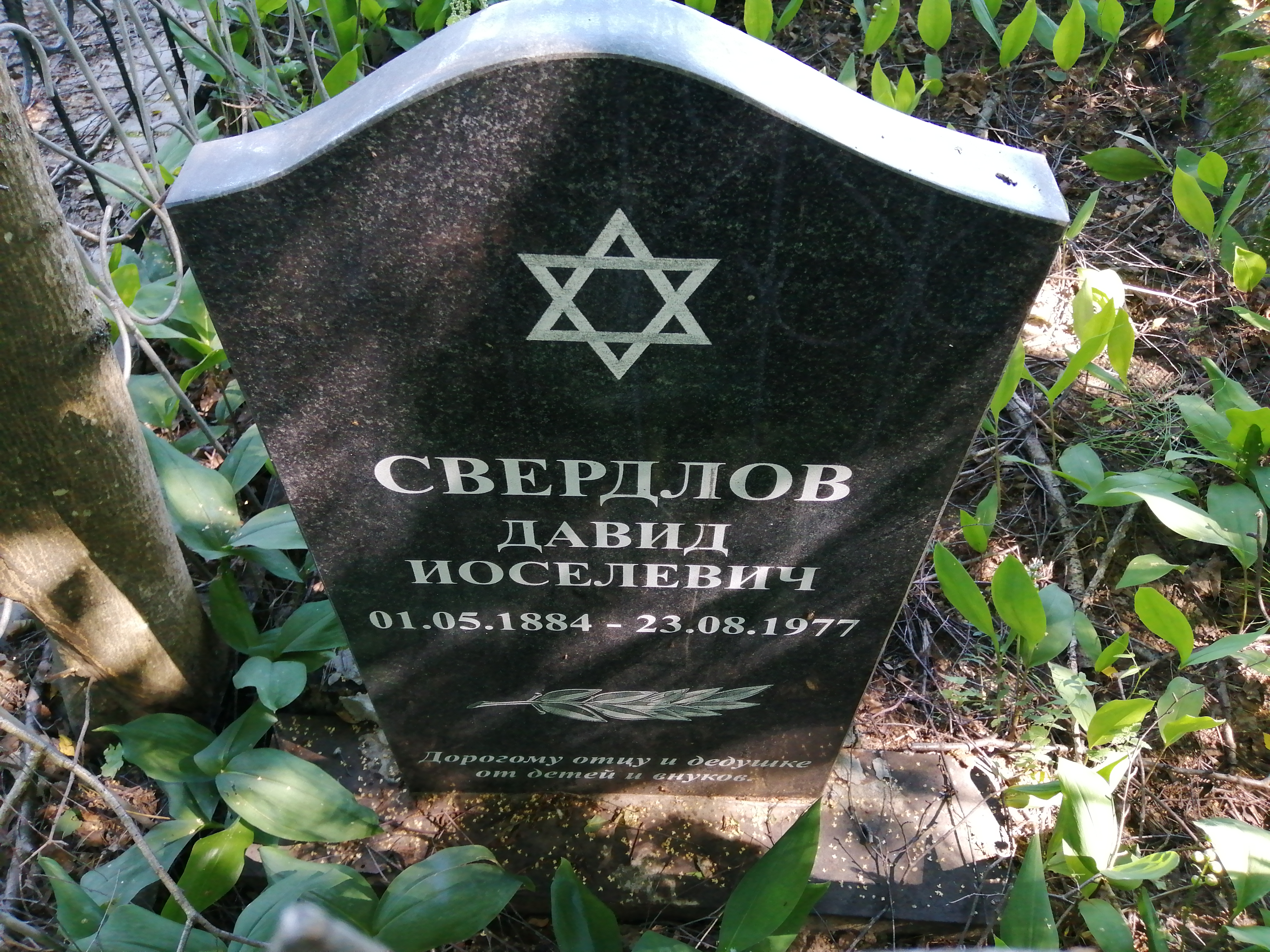 Свердлов Давид Иоселевич