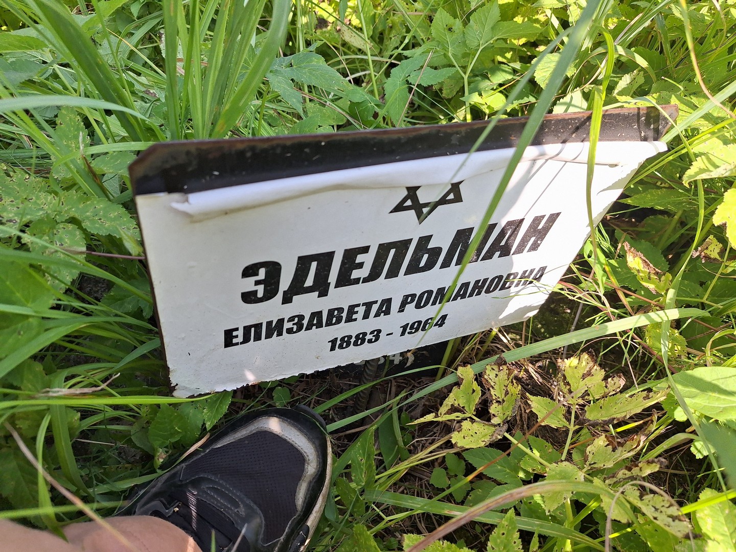 Эдельман