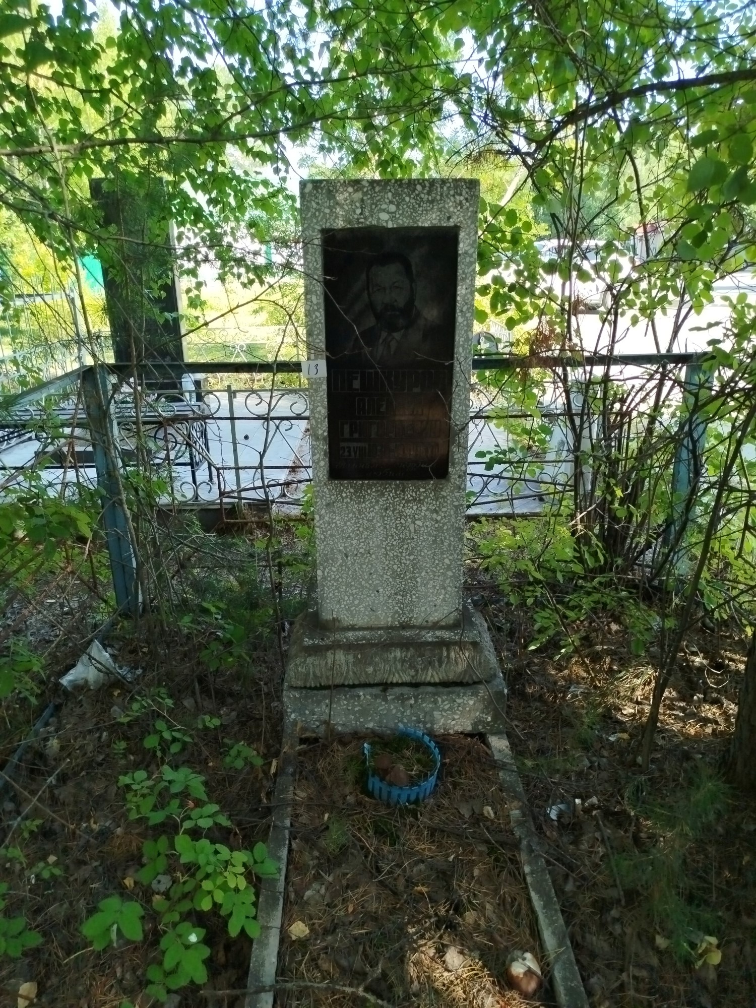 Пешкуров Алексей Григорьевич