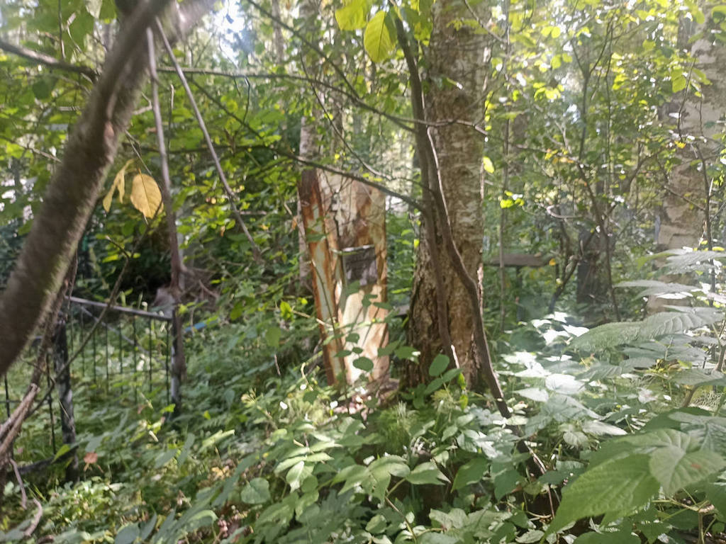 Булавский Анатолий Петрович