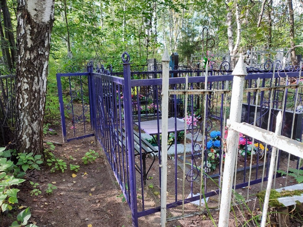 Струков Михаил Георгиевич