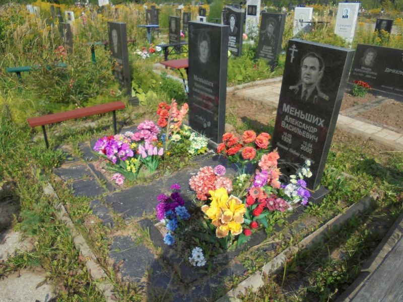 Меньших Александр Васильевич