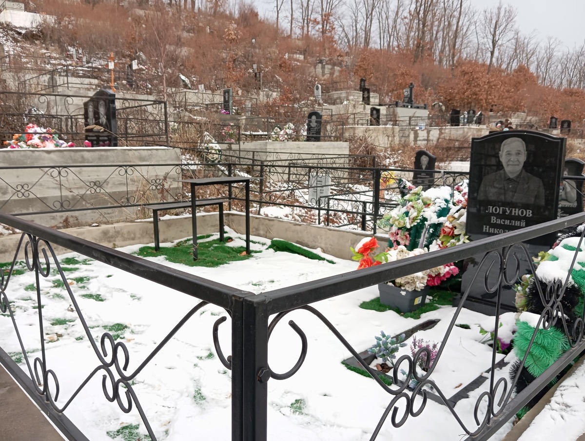 Логунов Василий Николаевич
