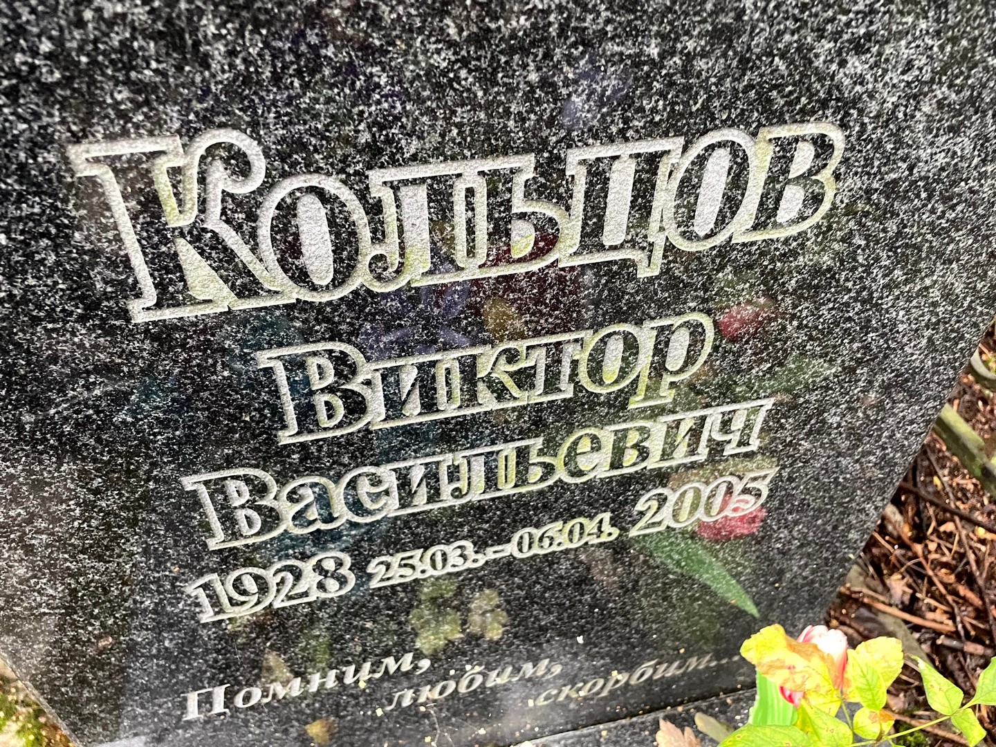 Кольцов