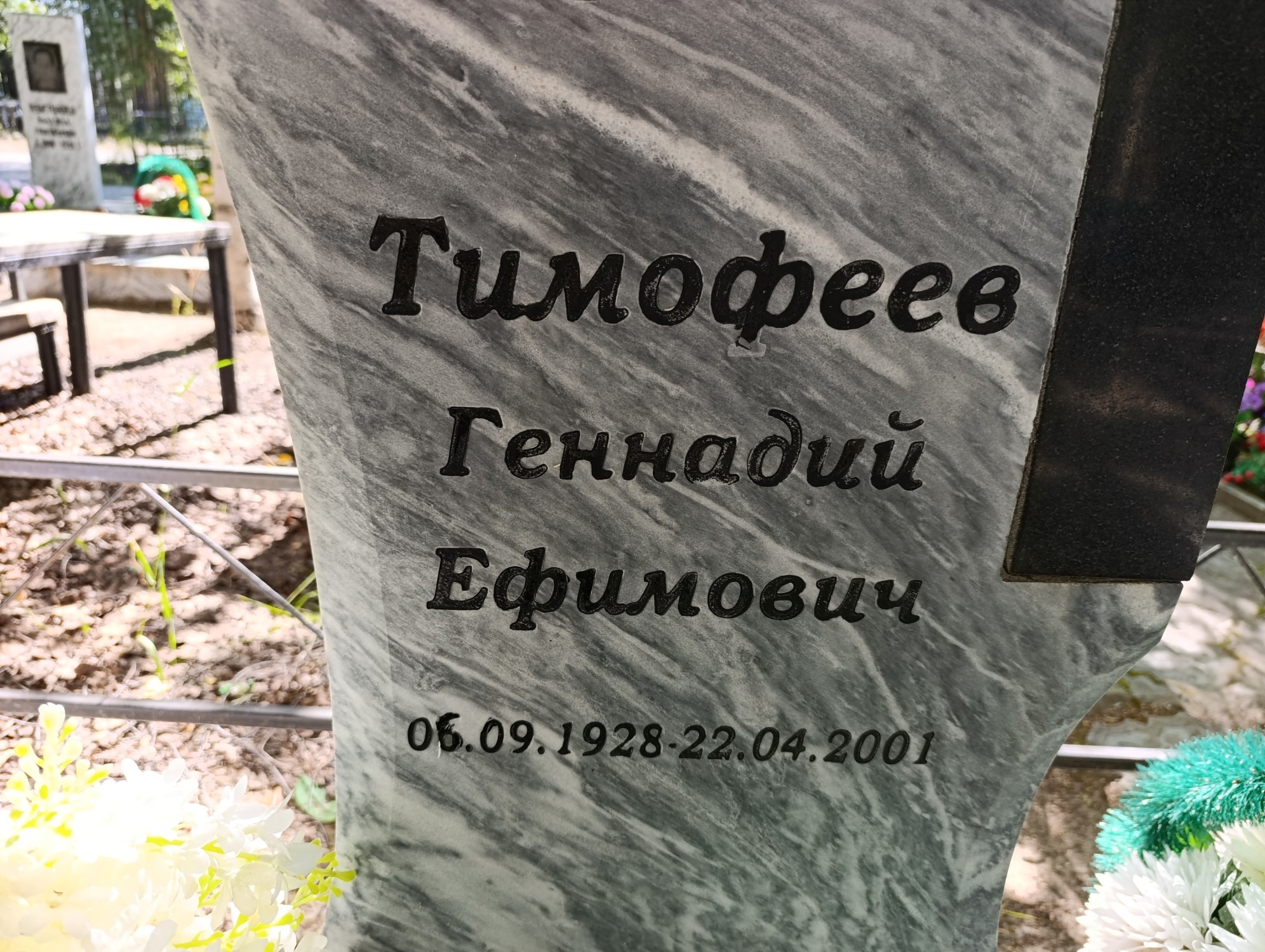 Тимофеев Геннадий Ефимович