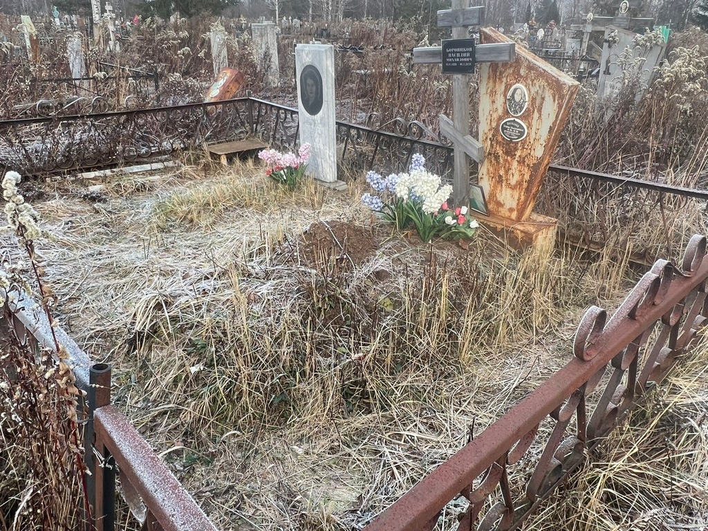 Боровиков Василий Михайлович