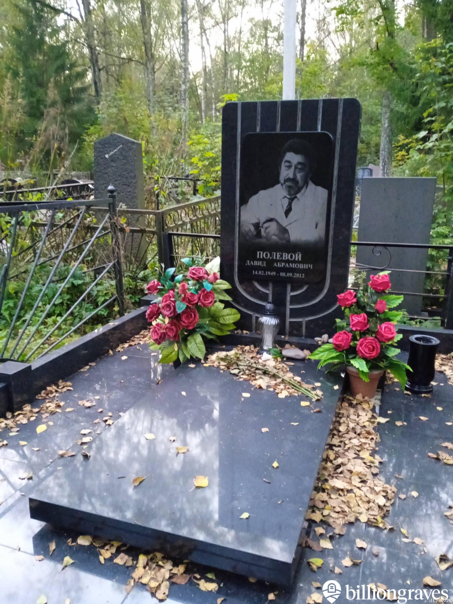 Полевой Давид Абрамович