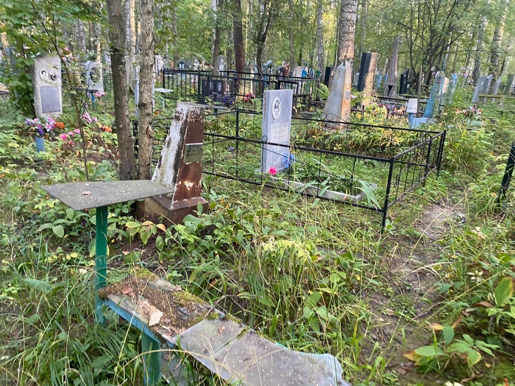 Абрамова Елена Степановна