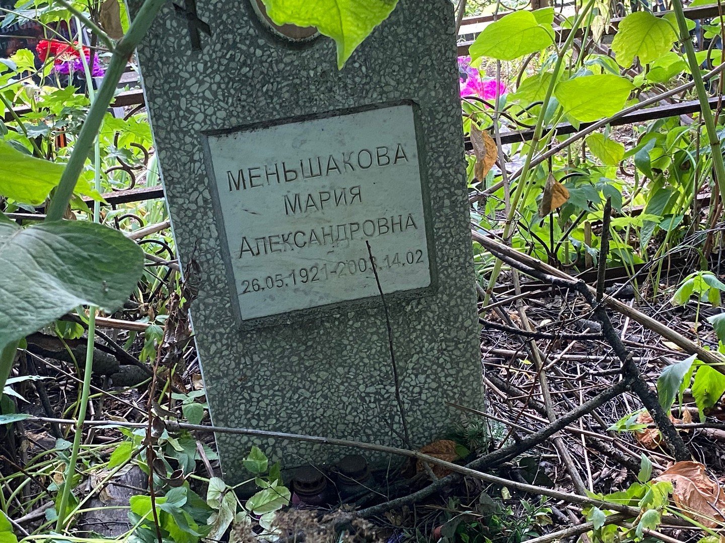 Меньшакова