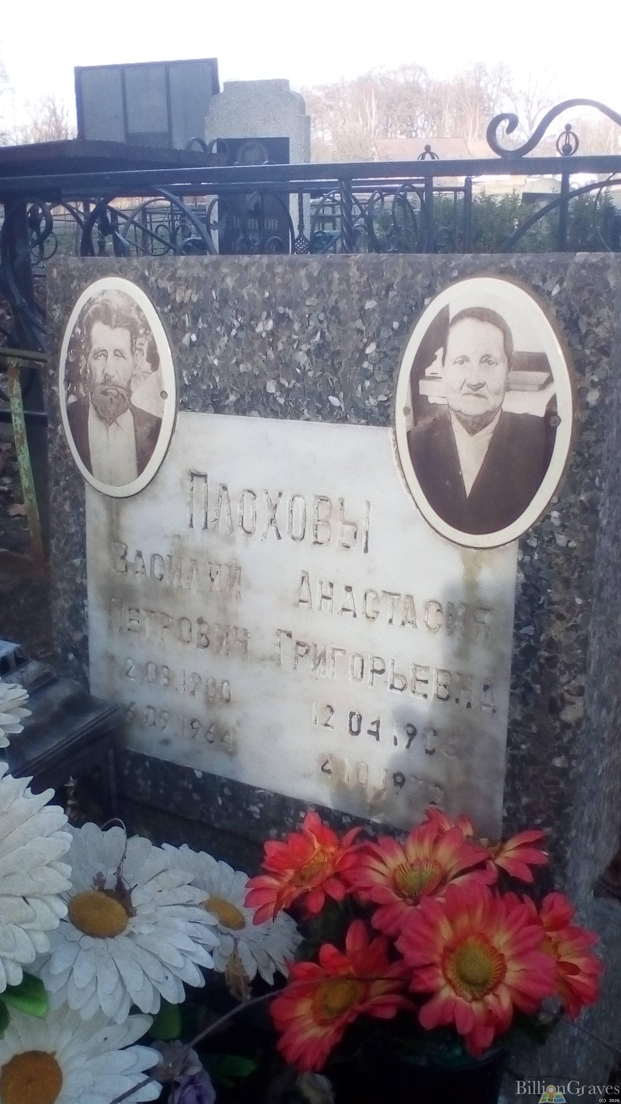 Плохова Анастасия Григорьевна