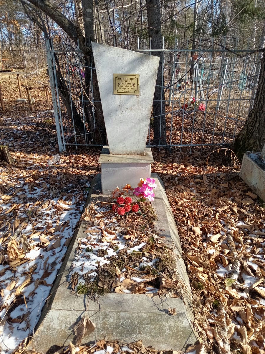 Литвиненко Василий Михайлович