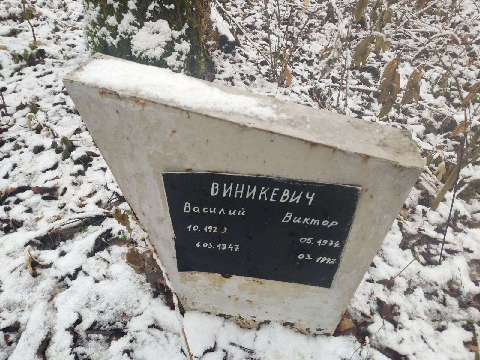 Виникевич Василий