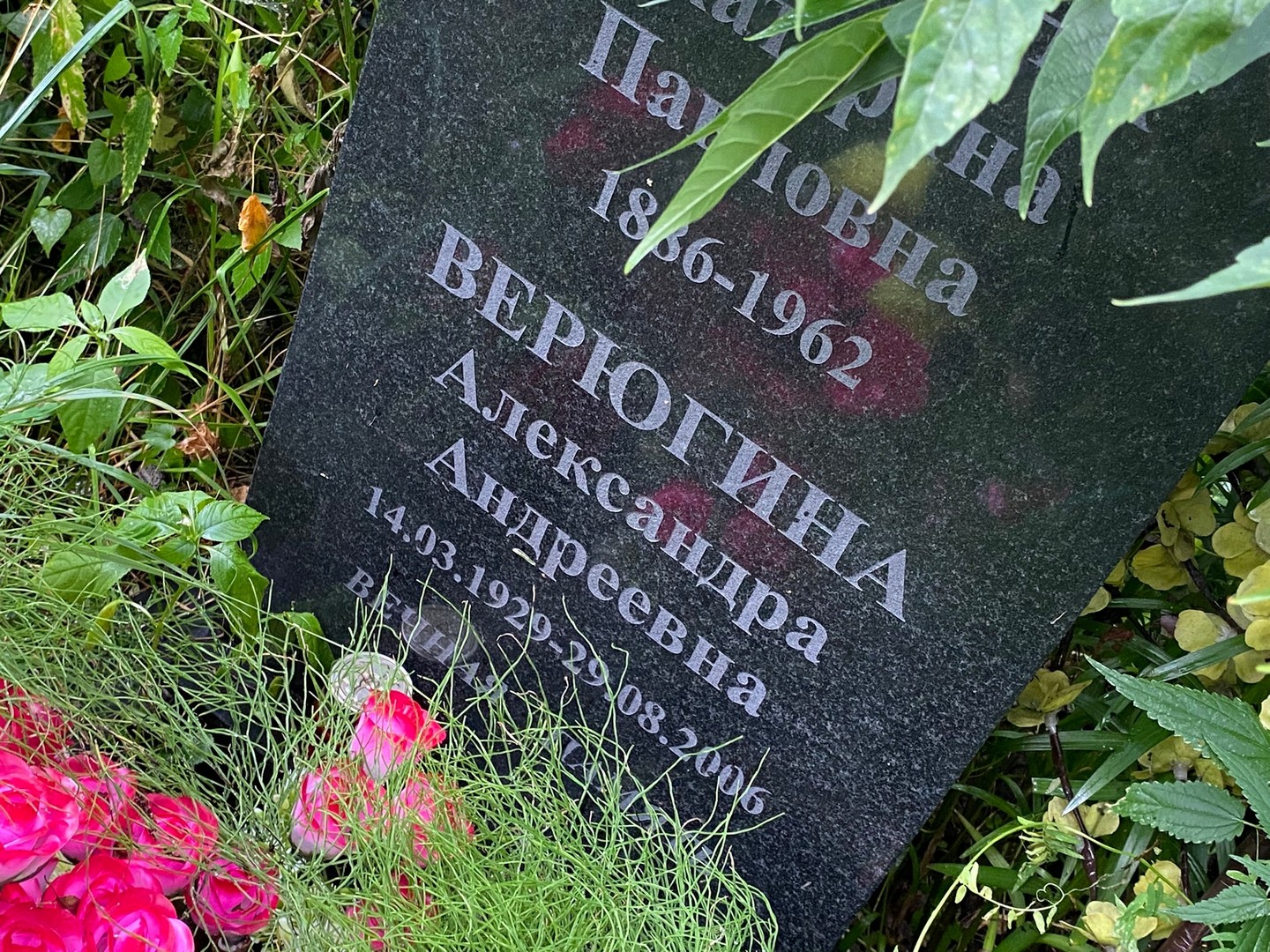 Верюгина Александра Андреевна