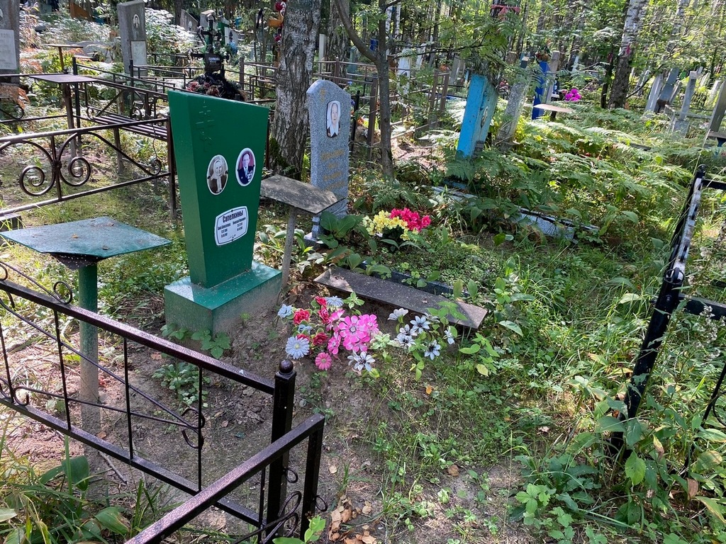 Сапелкин Николай Иванович