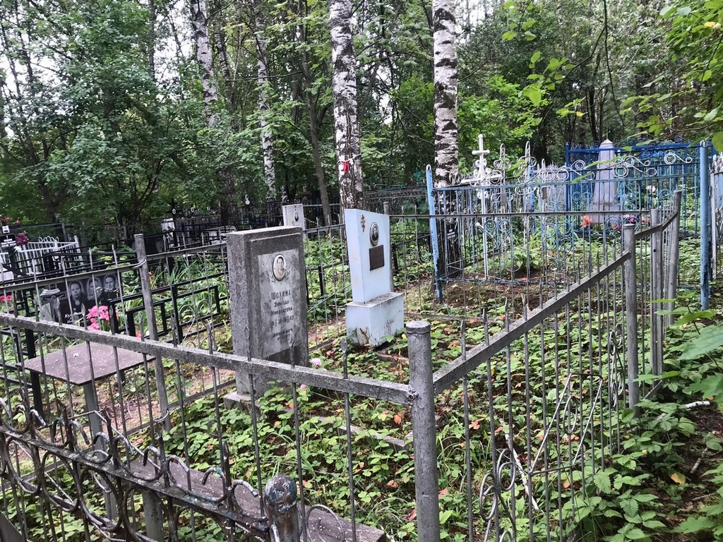 Шохина Зинаида Николаевна