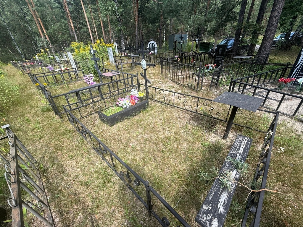 Минеев Владимир Григорьевич