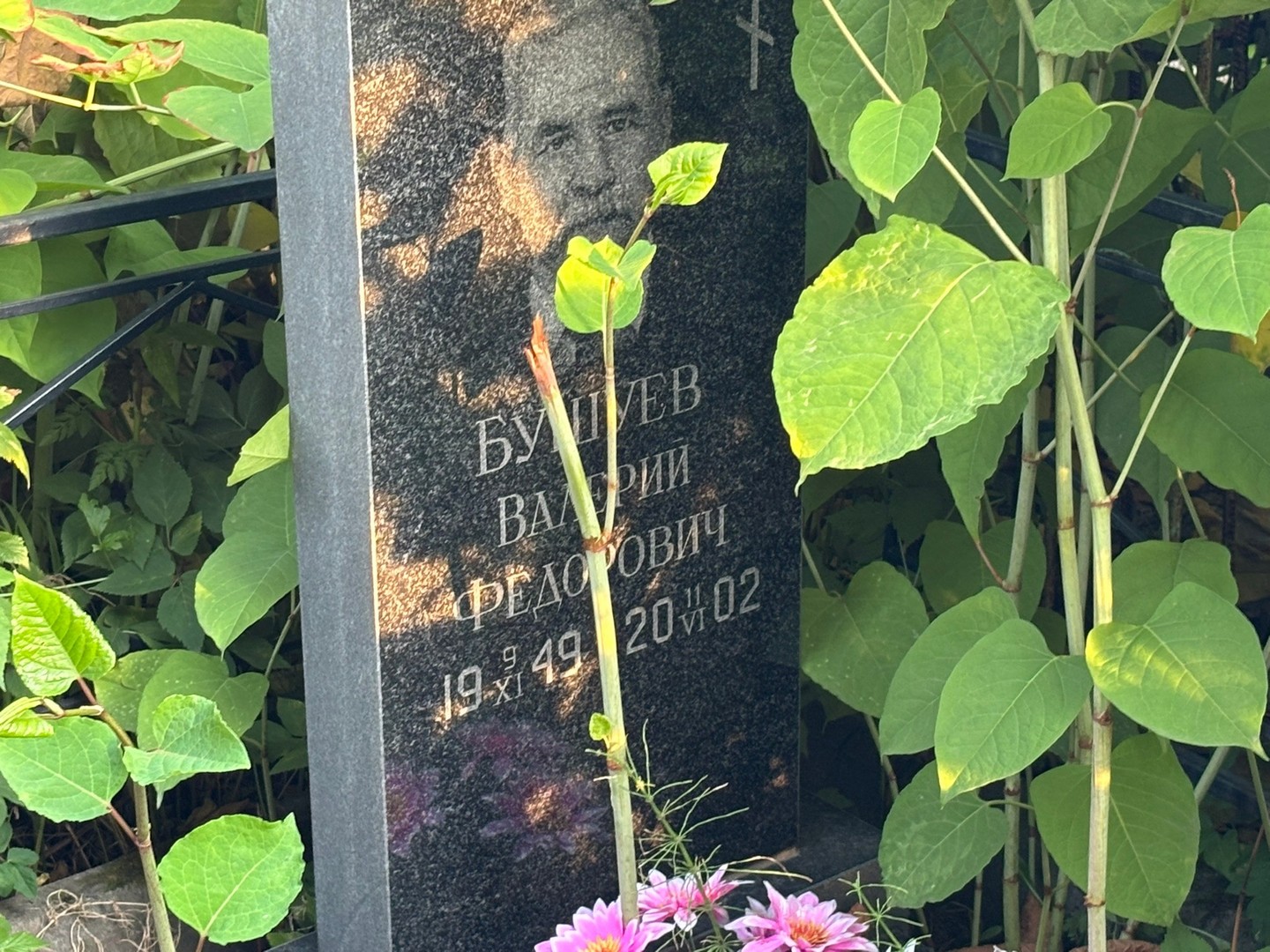 Бушуев