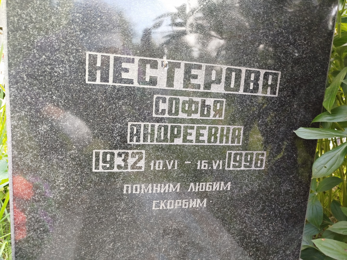 Софья Нестерова Андреевна