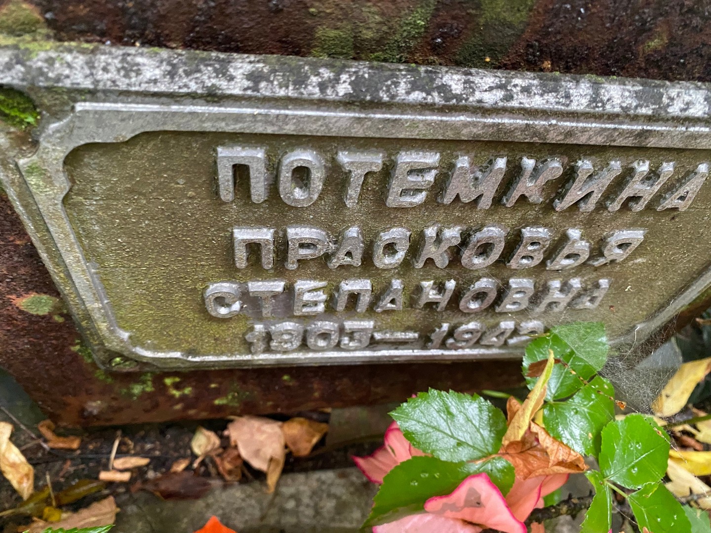Потемкина Прасковья Степановна