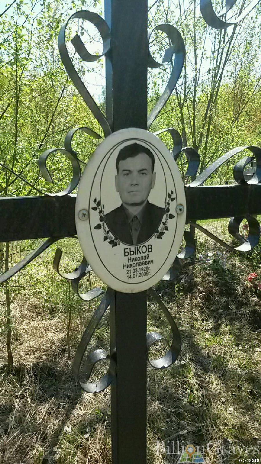 быков николай николаевич
