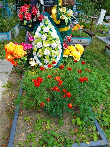 Беликеева Эмилия Александровна