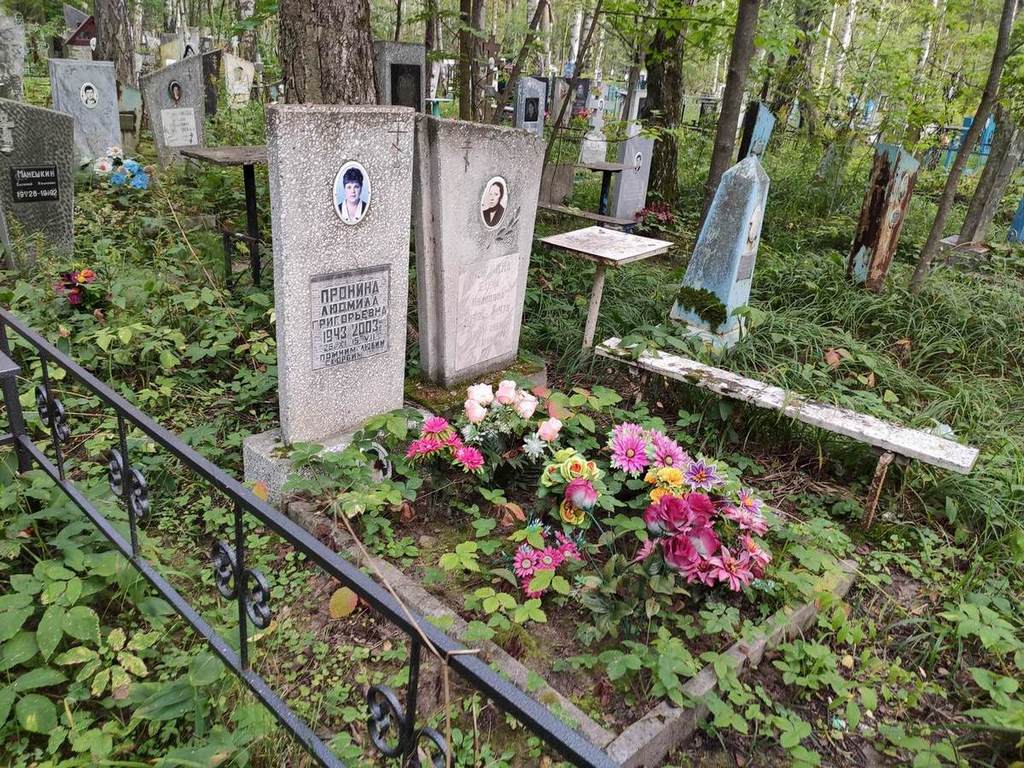 Пронина Людмила Григорьевна