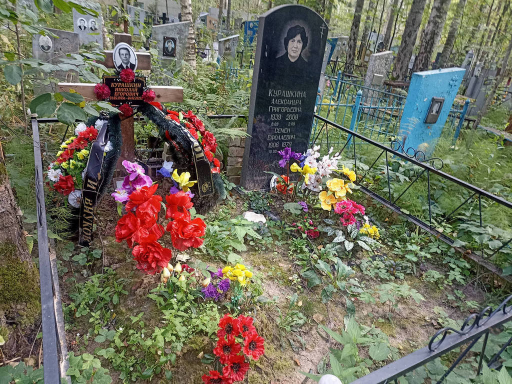 Курашкина Александра Григорьевна