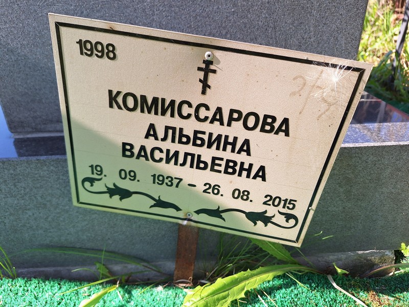 Альбина Комиссарова Васильевна