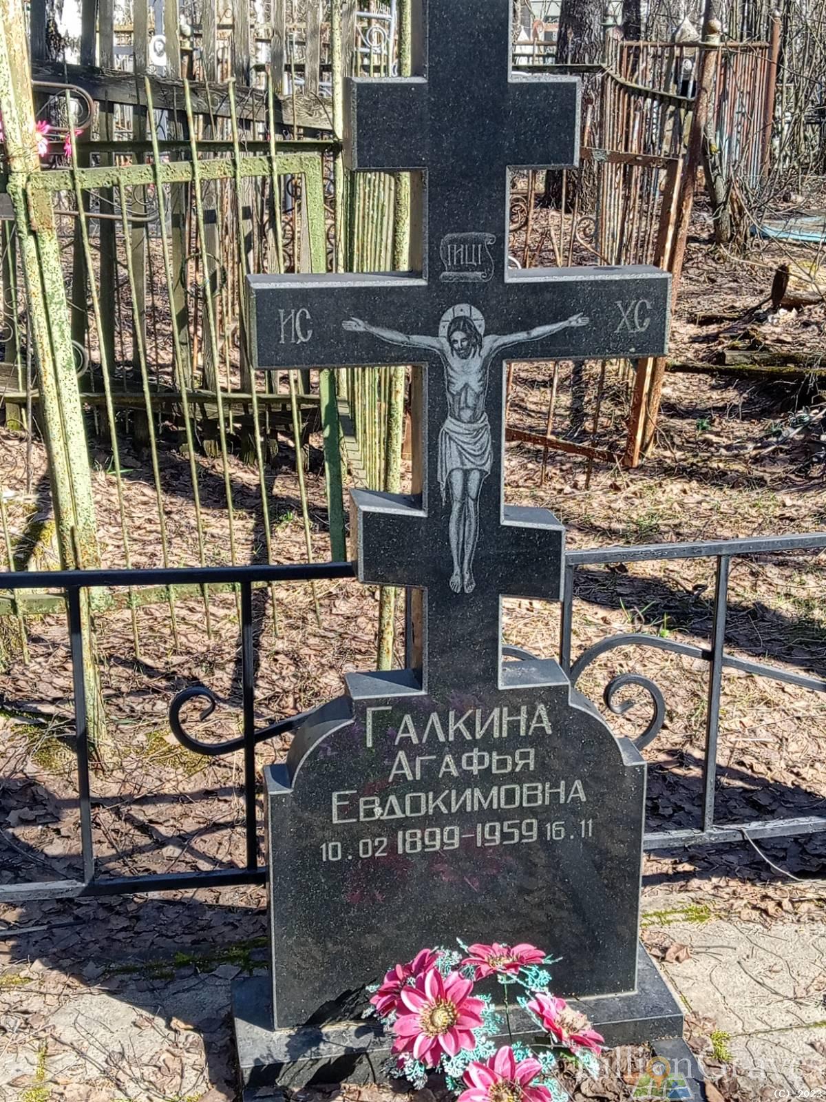 Галкина Агафья Евдокимовна