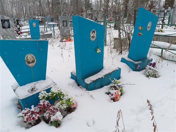 Брезгина Александра Дмитриевна